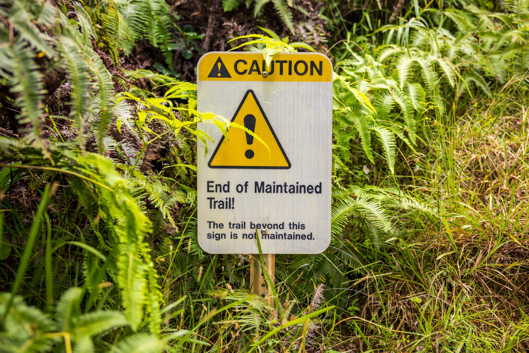 A caution sign that reads 'End of Maintained Trail!'.